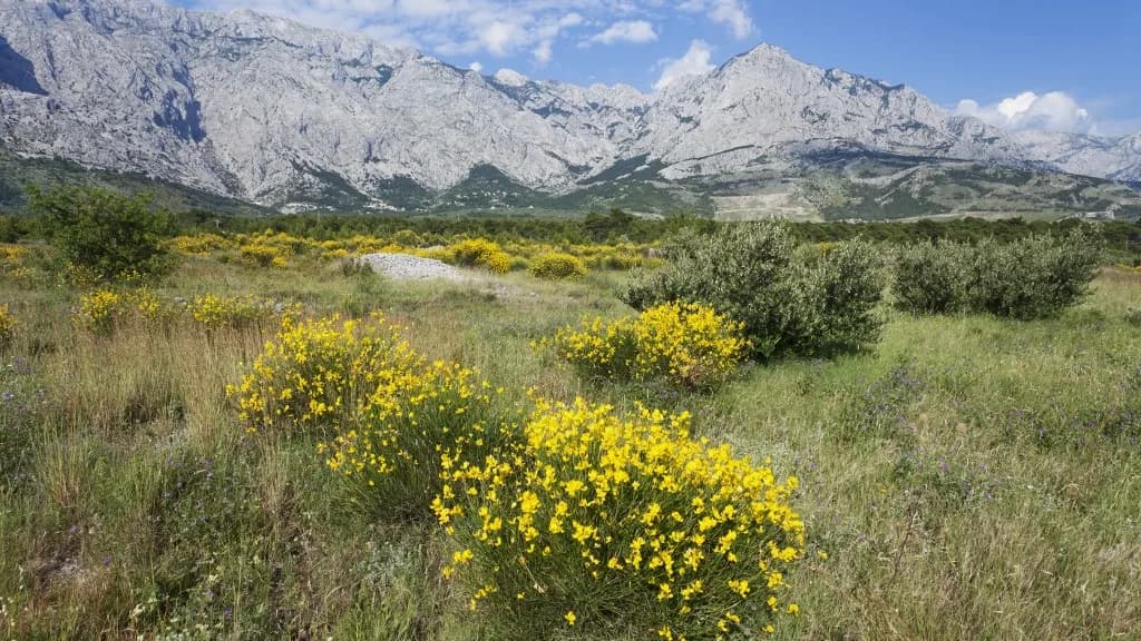 Meghalt egy cseh turista a Biokovo-hegységben