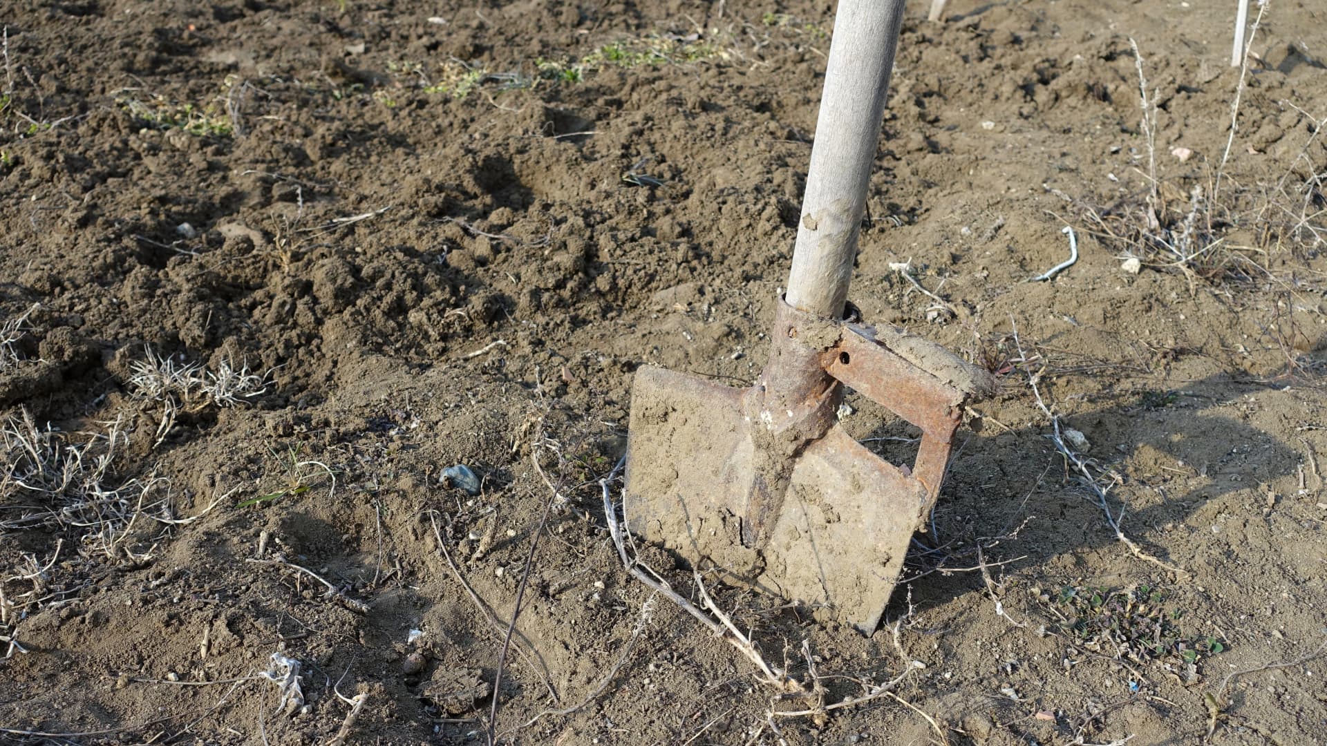 Saját sírja megásására kényszerítette párját egy férfi Győrben