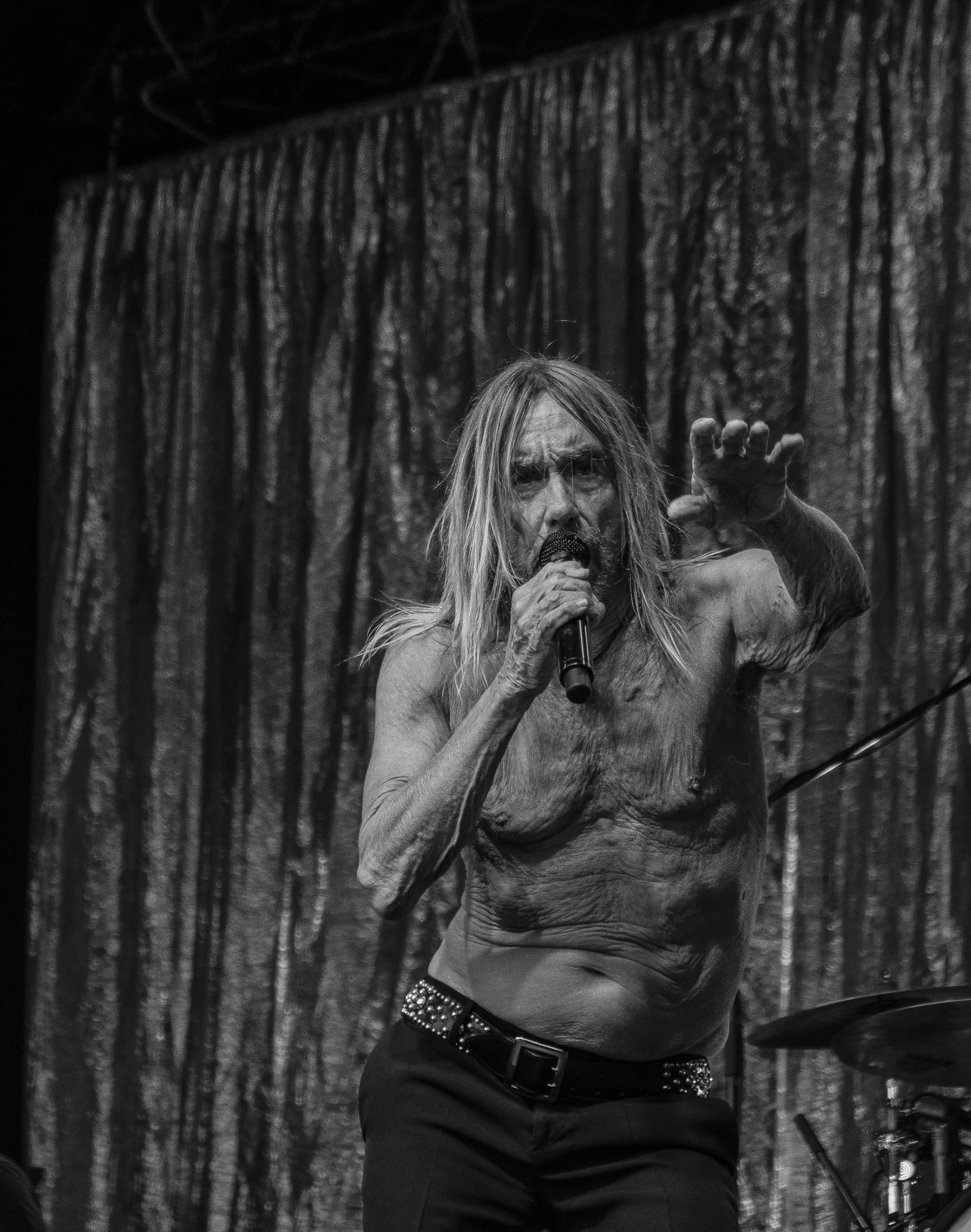 Iggy Pop