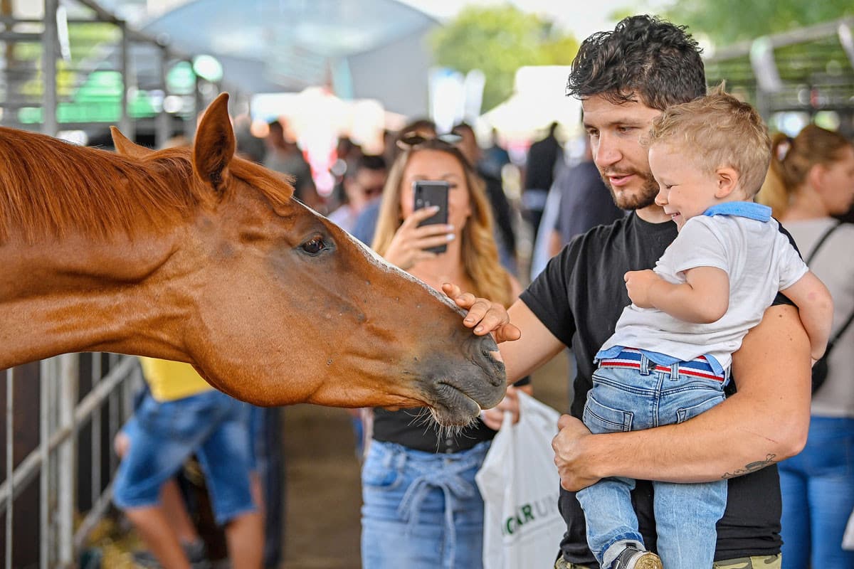 Megnyílt az idei Farmer Expo