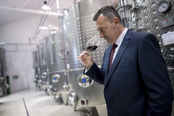 Az Év Pincészete 2019