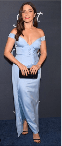 Golden Globe Sophia Bush