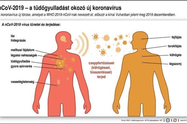 Nem terjed olyan gyorsan a koronavírus, mint a szamárköhögés