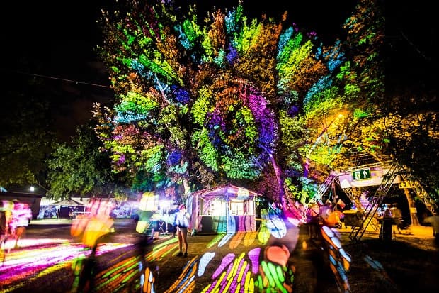 Zöld innovációval nyert a Sziget