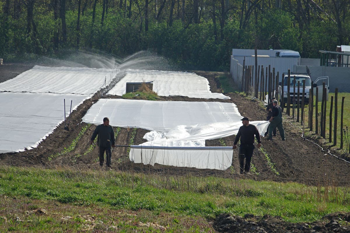 Kezdőcsomag a közös agrárpolitika keretein belül