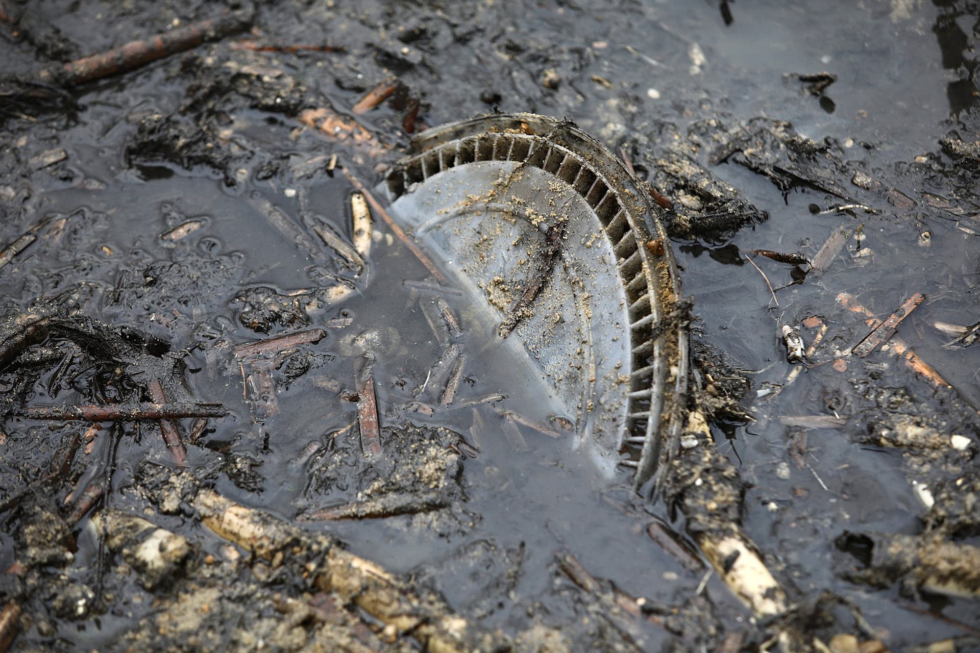 Szigetszentmiklósi olajszennyezés