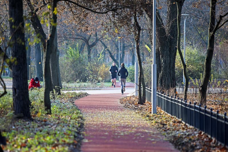 Liget Botanikus Kert, Futókör, Kutyás park