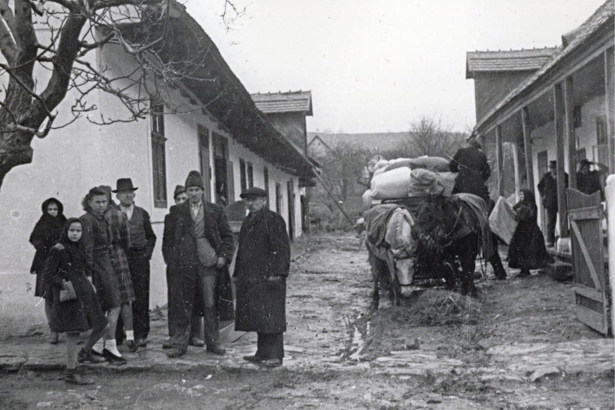 A magyarországi németek államhűsége (1918–1920)