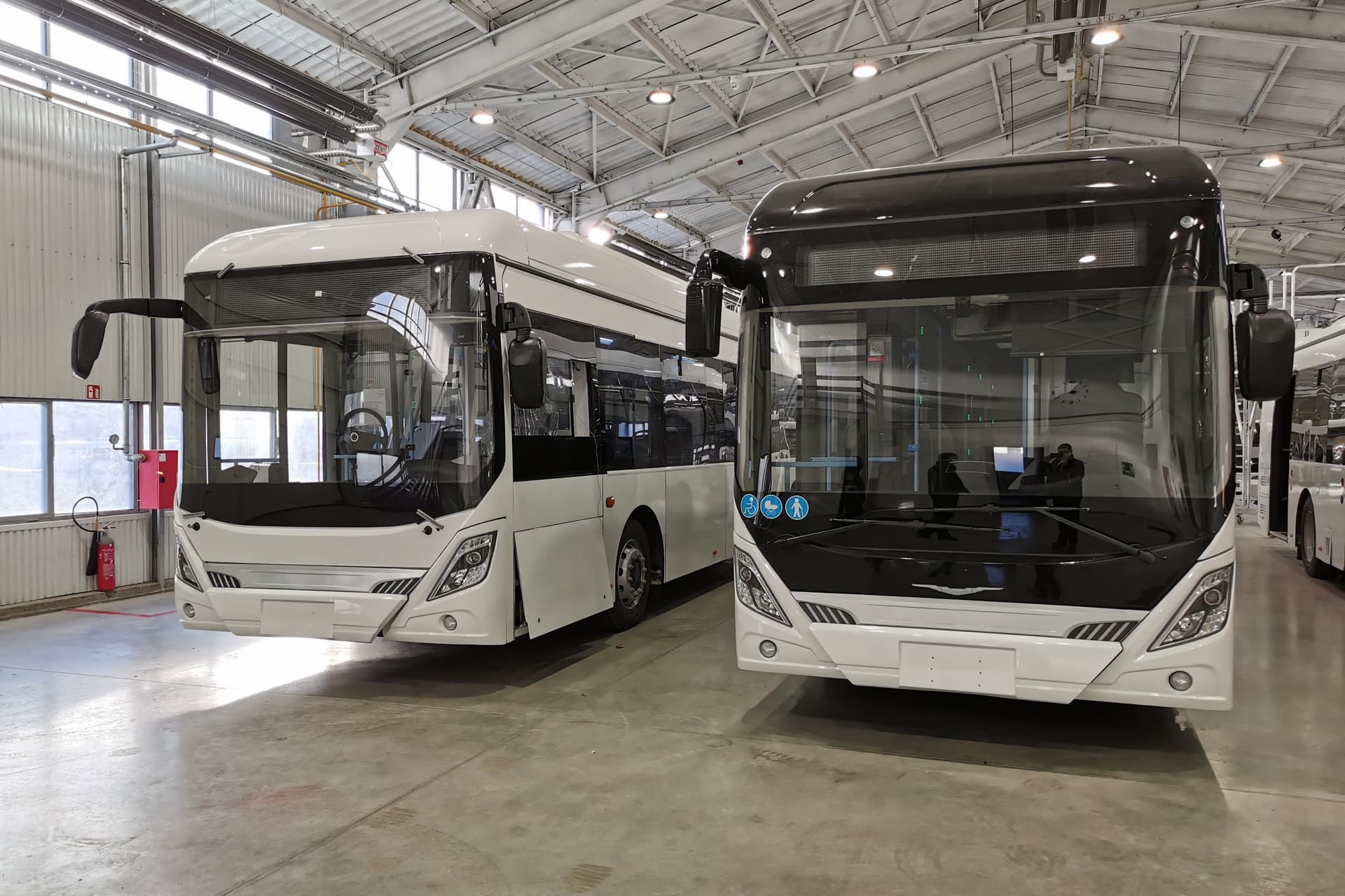 Ikarus