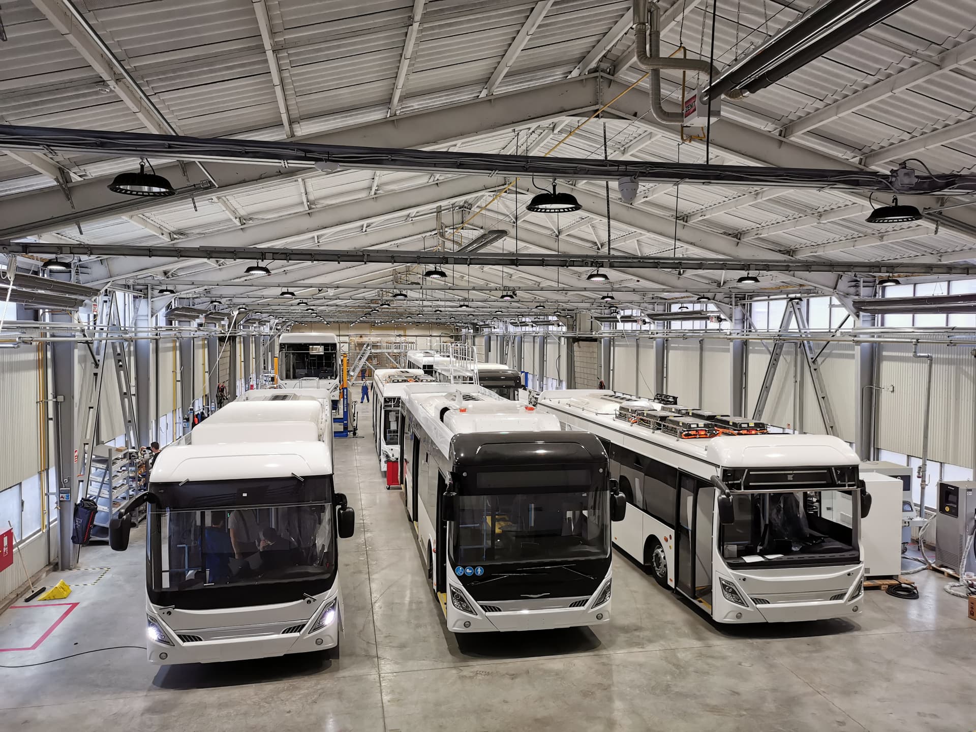 Ikarus