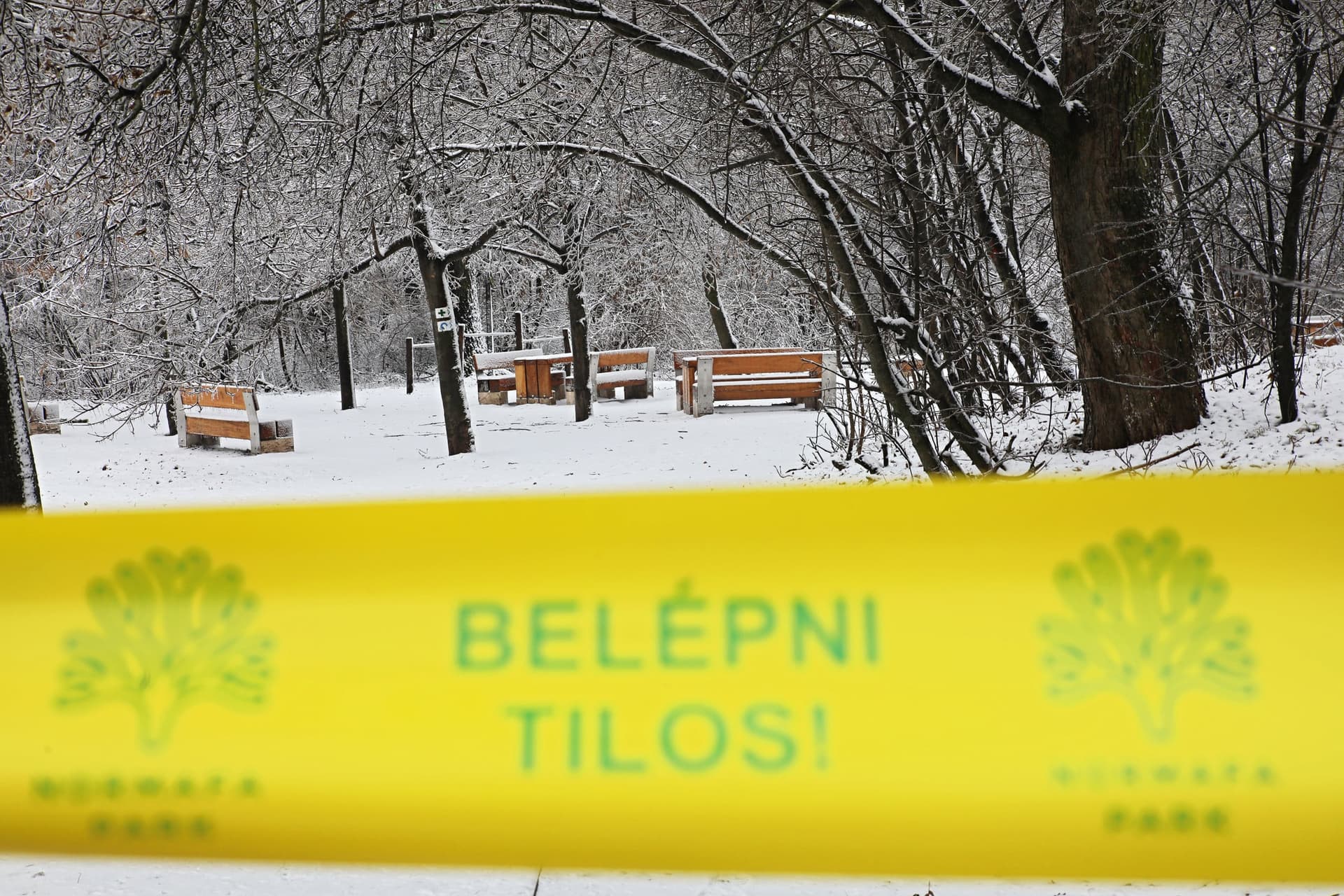 hó, havazás