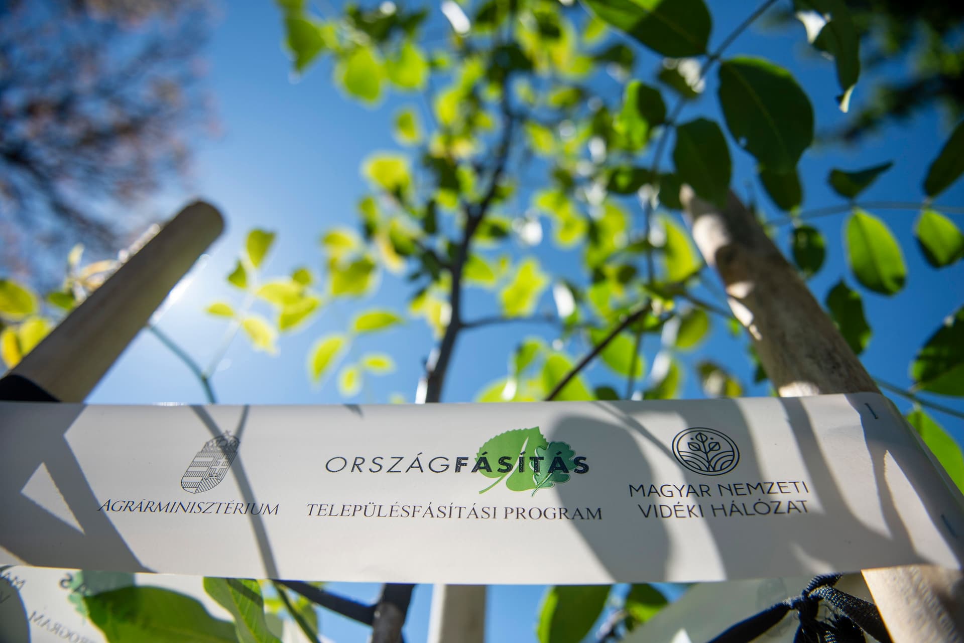 A települések zöldítése a cél