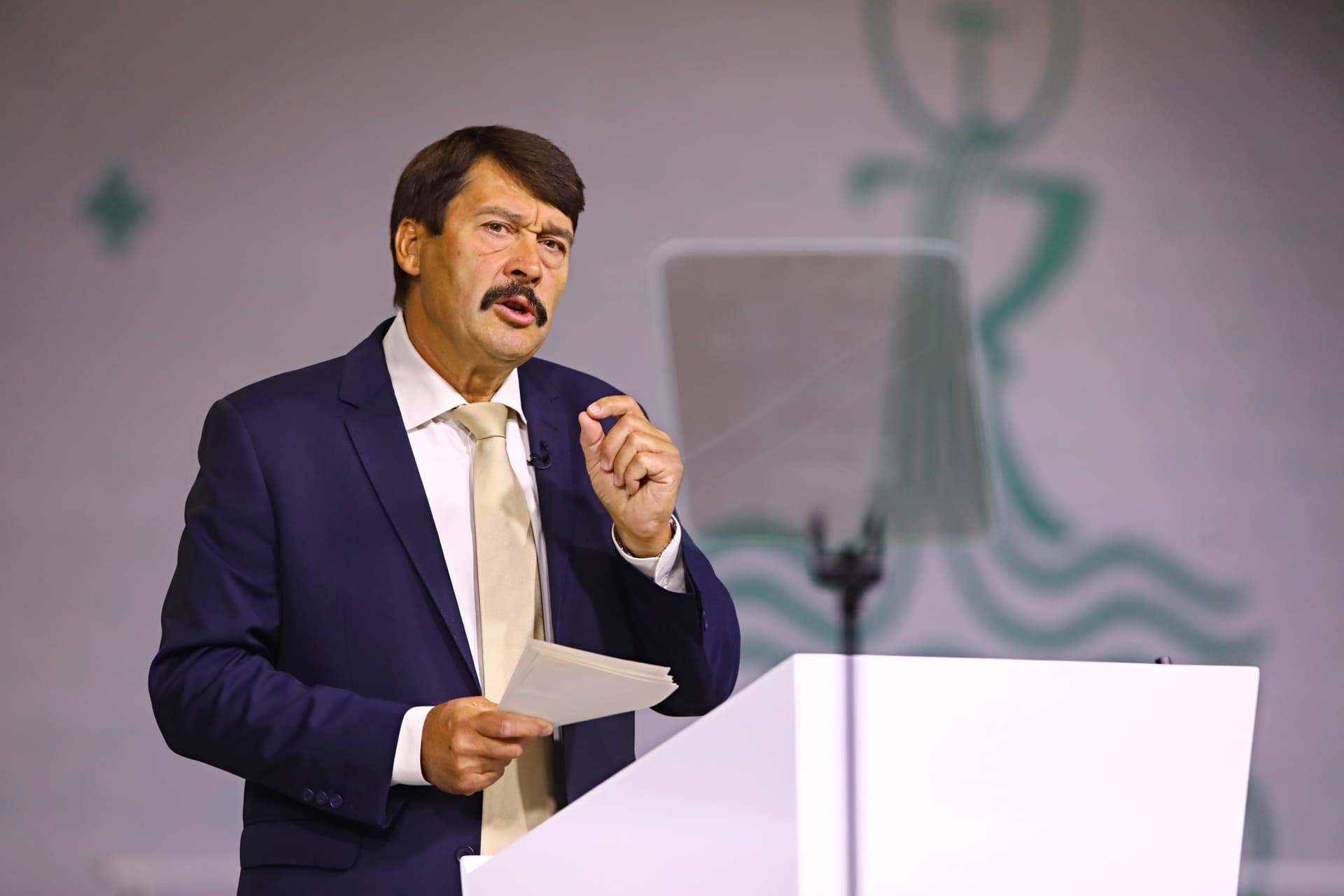 Áder János, Magyarország köztársasági elnökének tanúságtétele