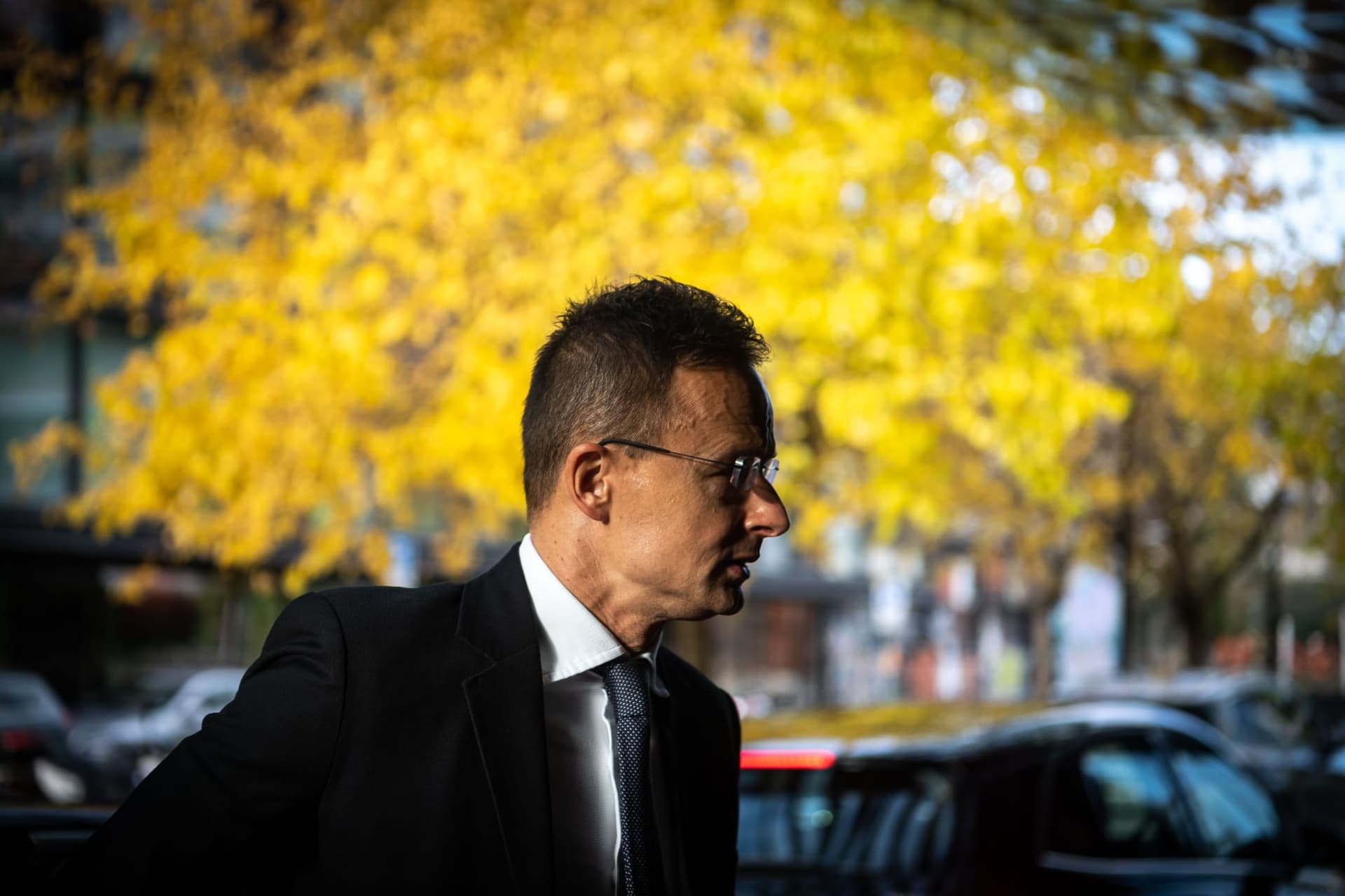 Egyértelmű sikertörténet a magyar-dél-koreai gazdasági együttműködés