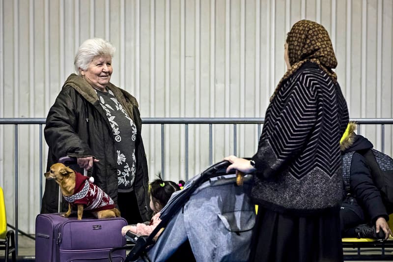 A budapesti BOK csarnokban létesített humanitárius tranzitpont