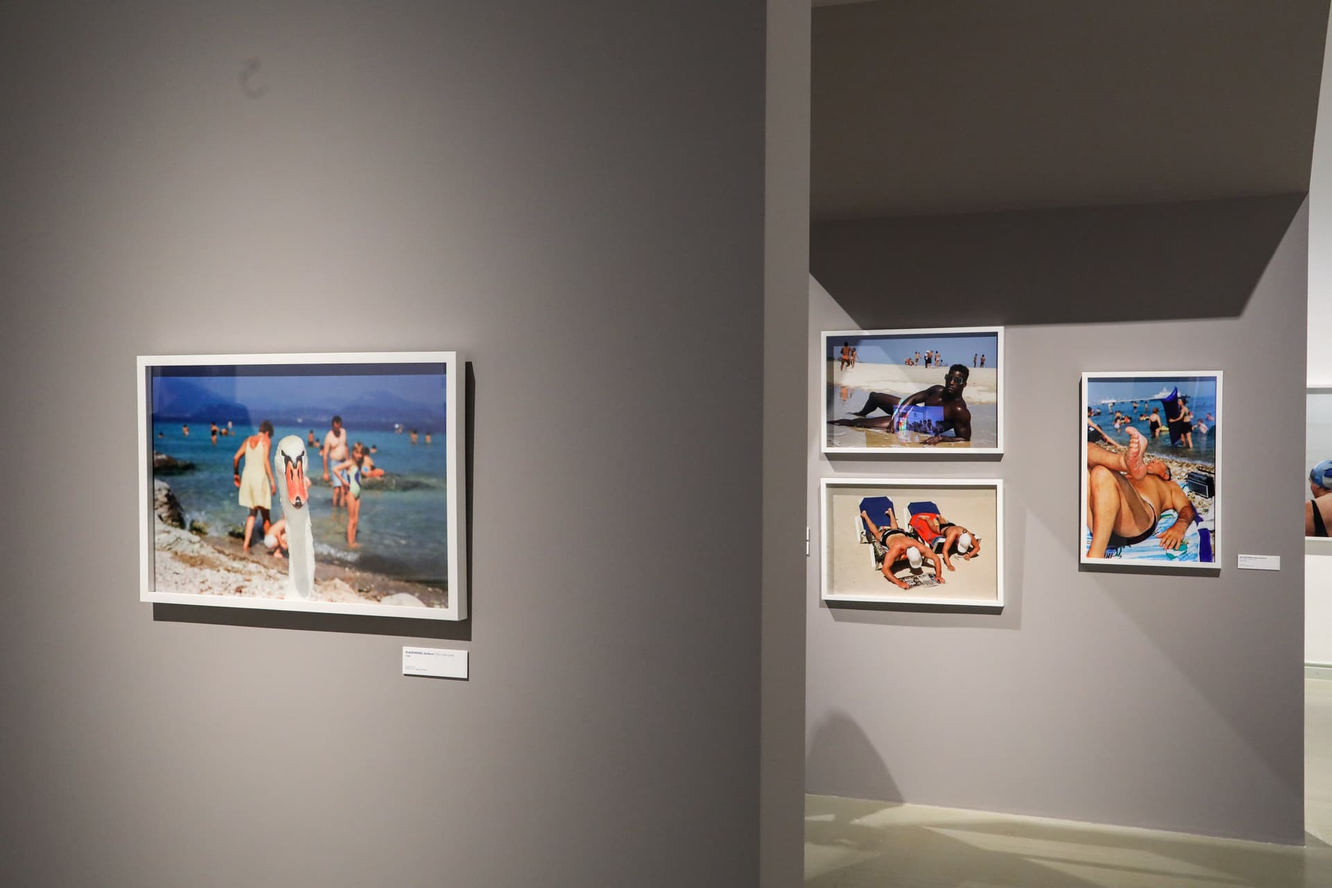 Martin Parr tárlata nyitja a Budapest FotóFesztivált a Műcsarnokban