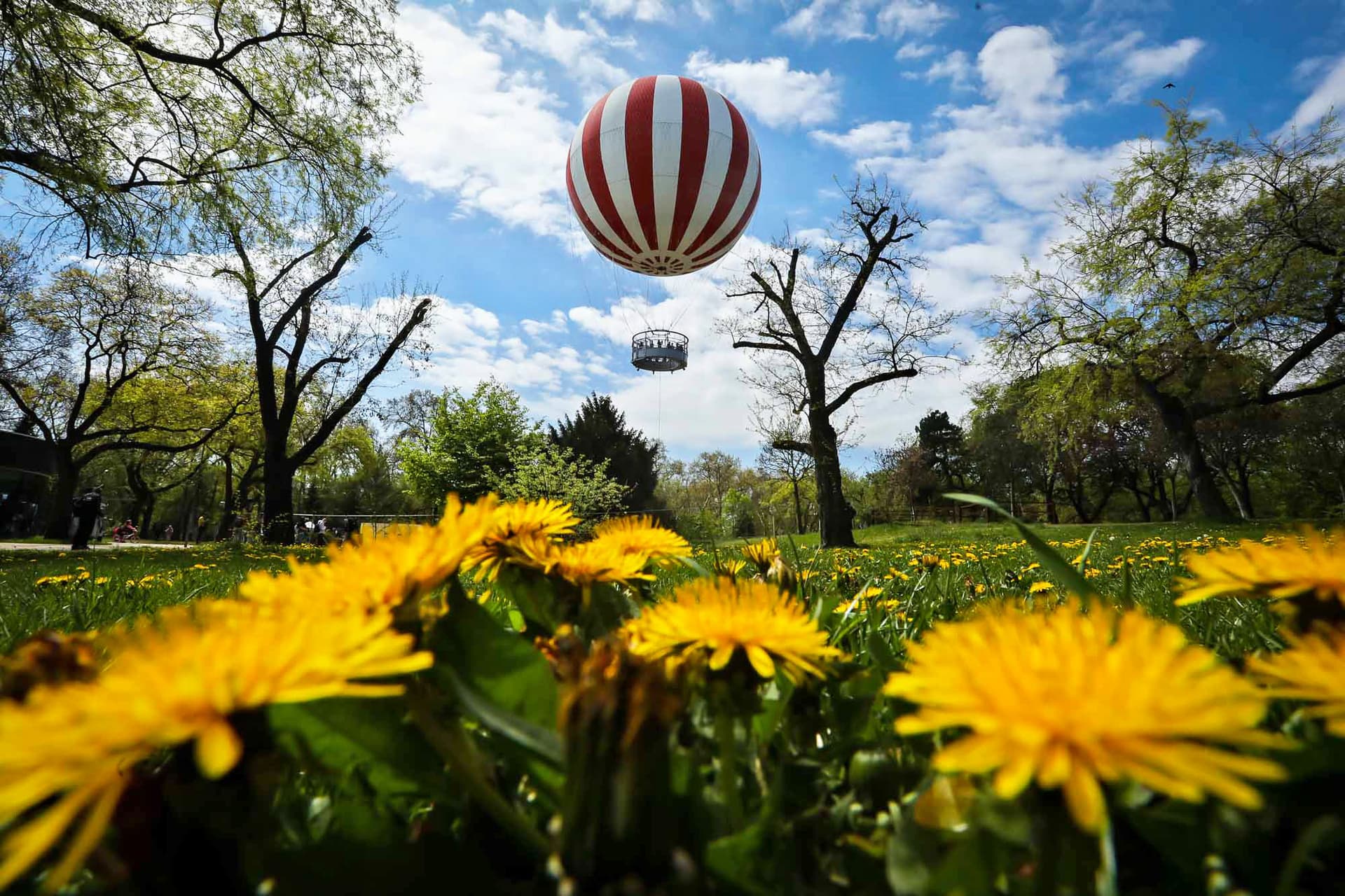 Városliget, liget, Ballon,