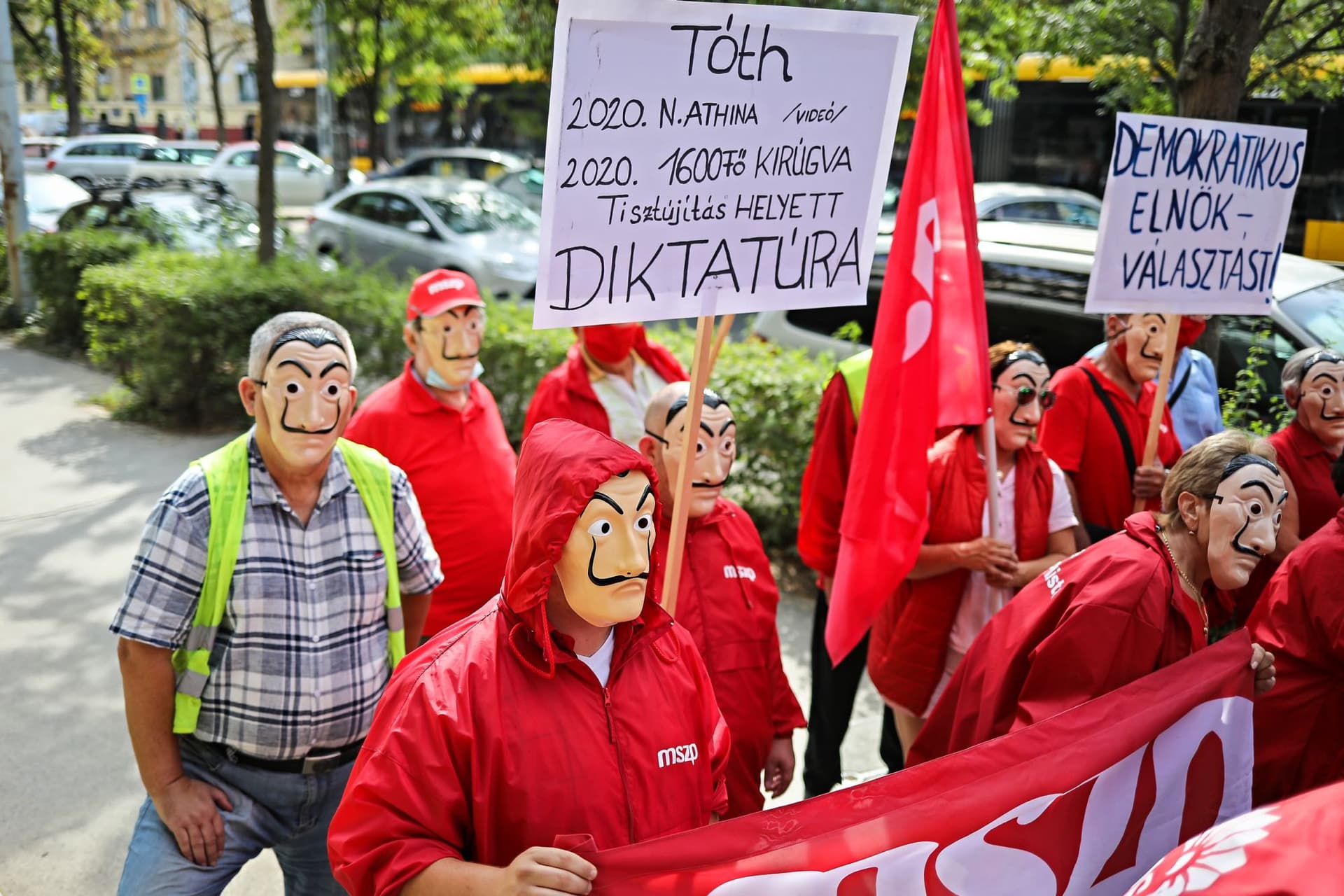 Kései bocsánatkérés, elhervadt a szegfű