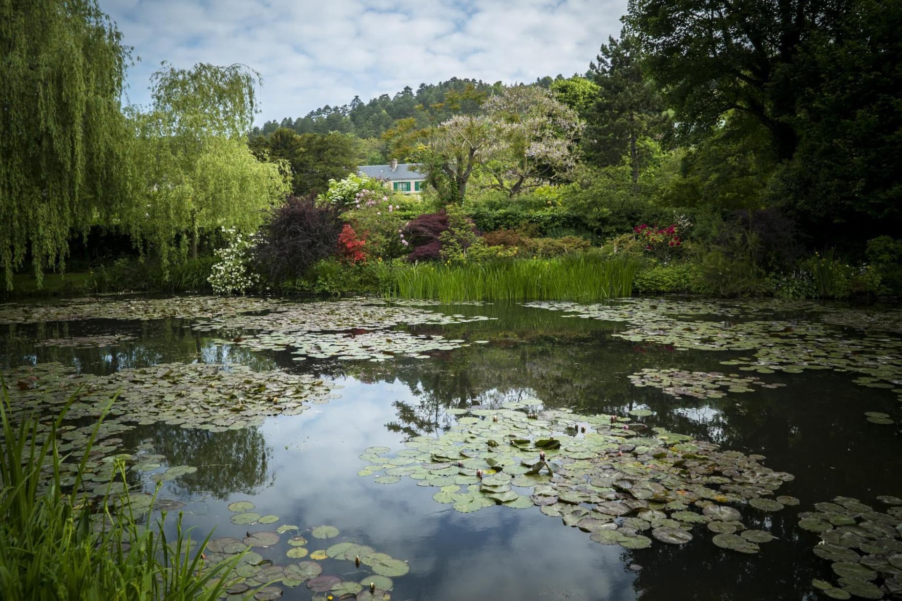 Monet