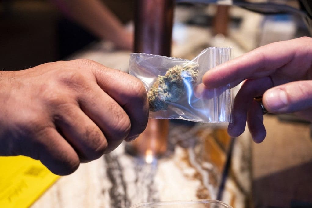 Europol: Egyre erősebb a kannabisztermékek hatóanyaga Európában