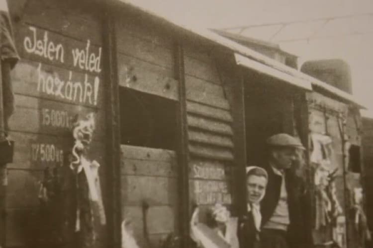 Szörnyű bűn volt a németek kitelepítése