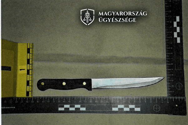 Késsel szúrta meg a férfiakat