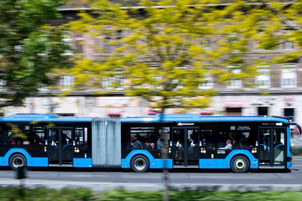 A Népligetnél tartott köztisztasági és közrendvédelmi akciót a BKK