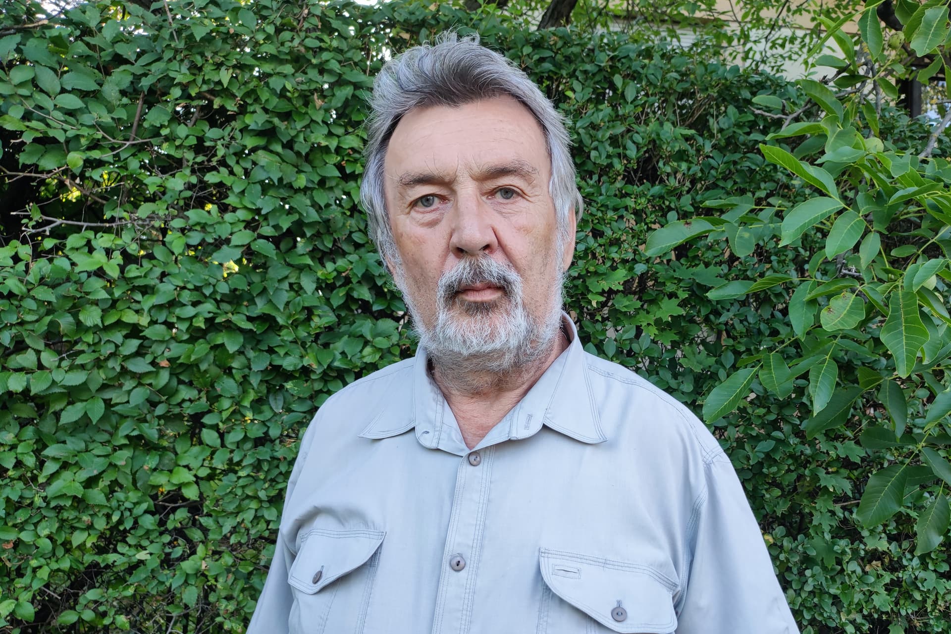 A piros szegfű elhervadása alulnézetből