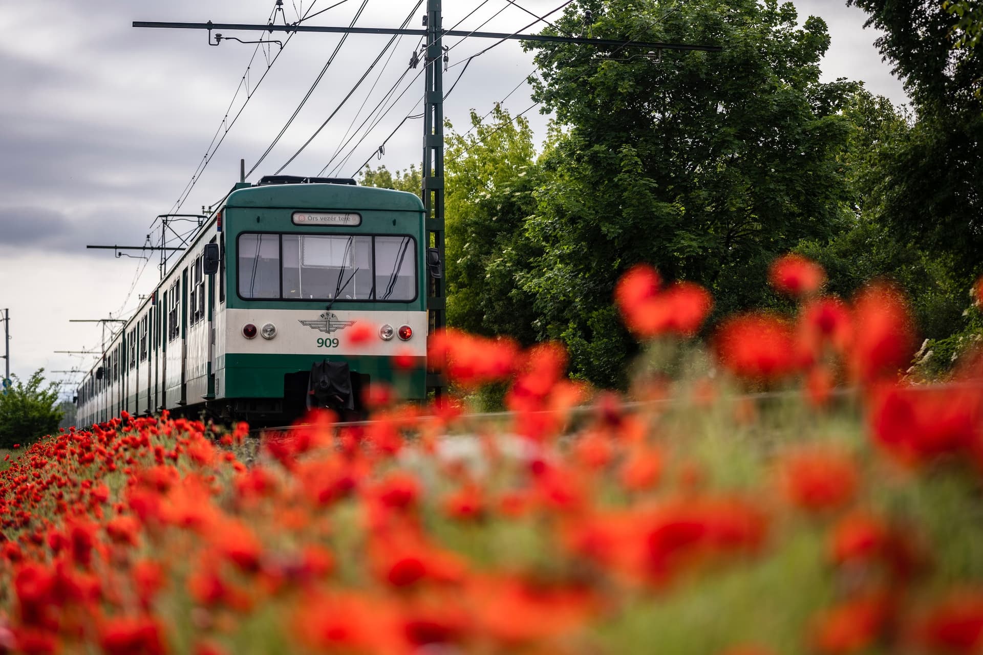 Megnövelt kapacitással közlekedik több vasúti járat és a HÉV a Sziget Fesztivál végén