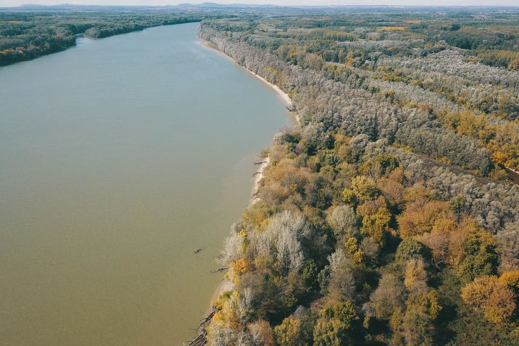Erdőt telepít az MNB a Duna–Dráva Nemzeti Parkban