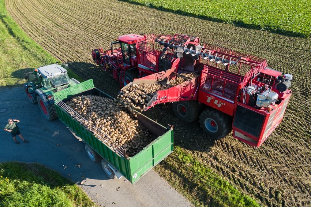 Elkezdődött a cukorrépa-feldolgozási kampány Kaposváron