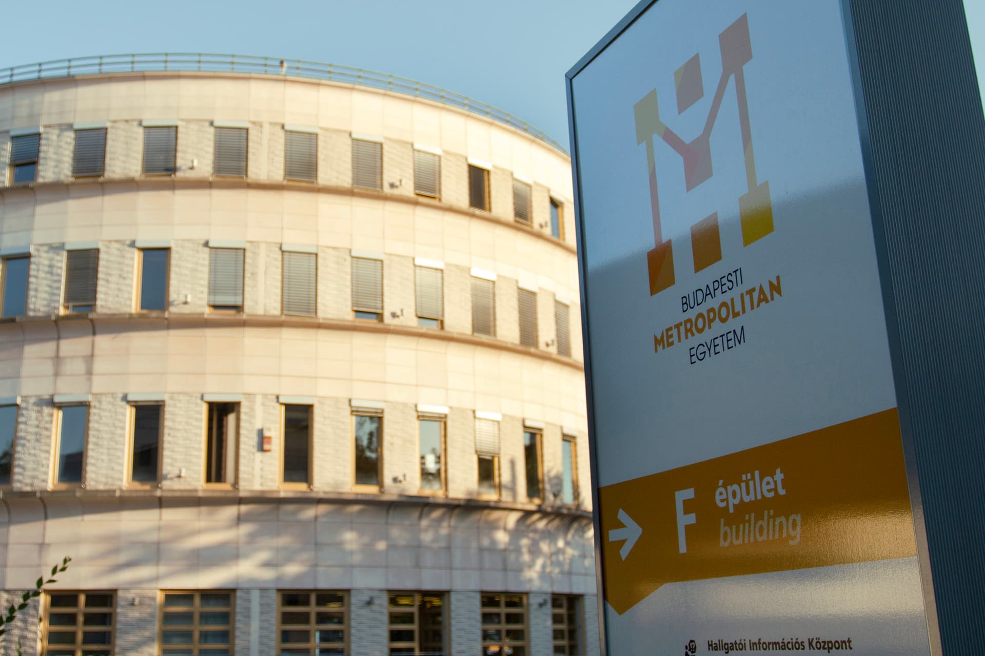 A jövő munkahelyei és vezetői