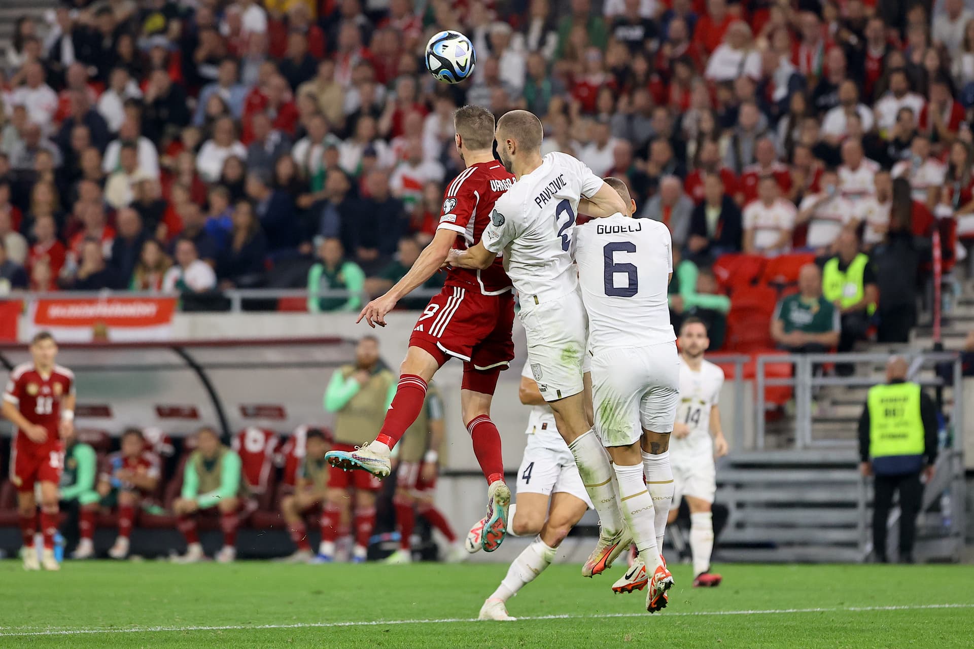 Európa Bajnokság selejtező Magyarország-Szerbia Puskás Aréna 2023 október 14