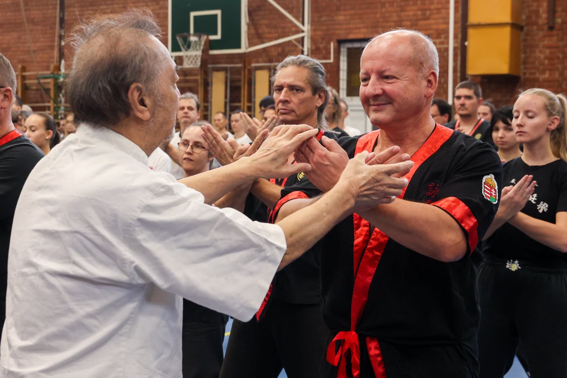Leung Ting nagymester Simicskó István kungfu