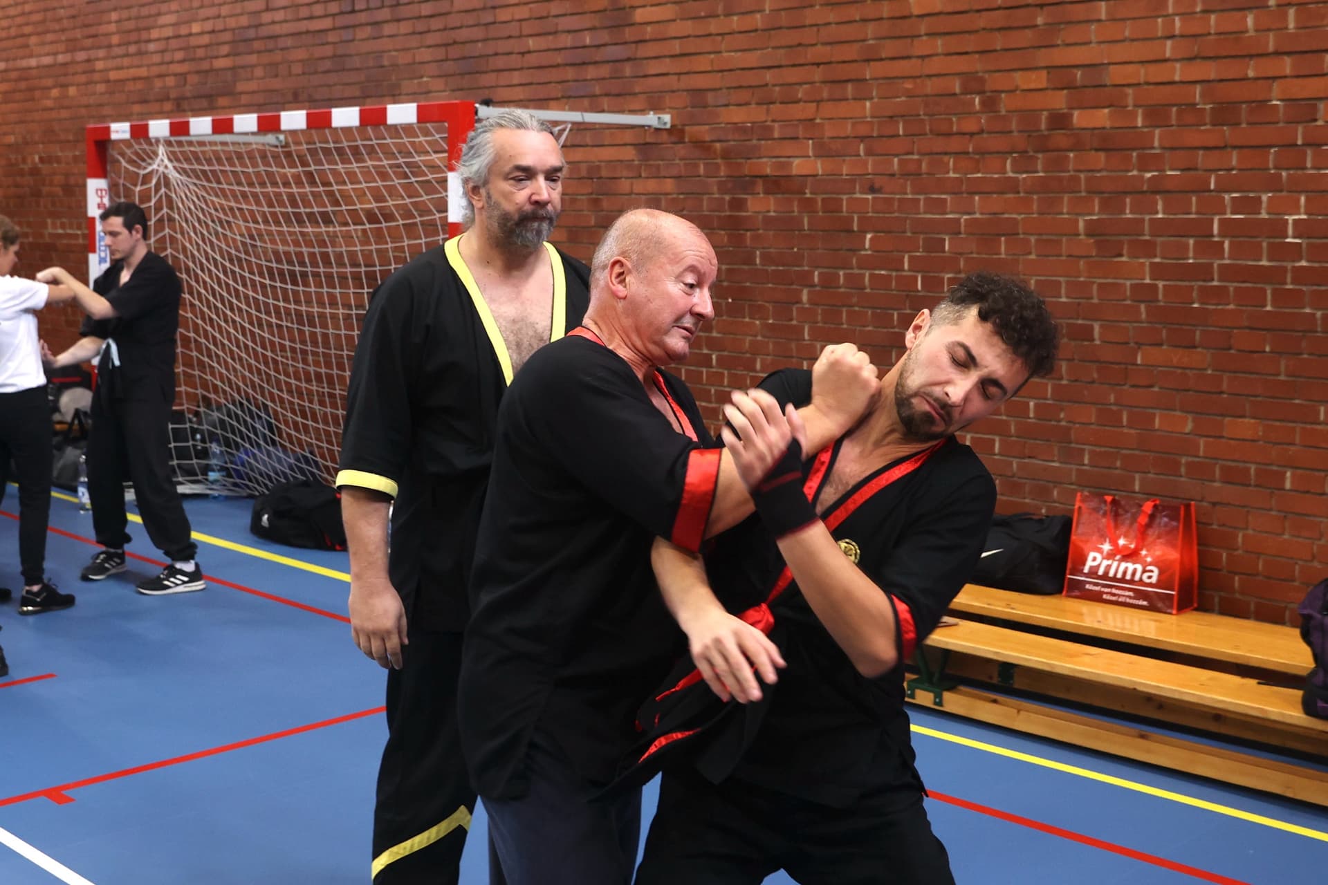 Simicsko Kungfu bemutató