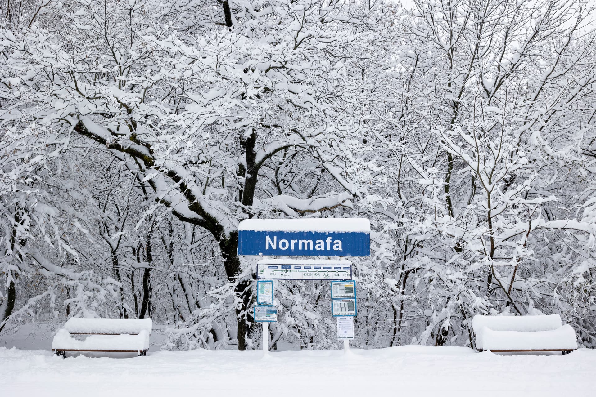 Ha hétvége, akkor Normafa!