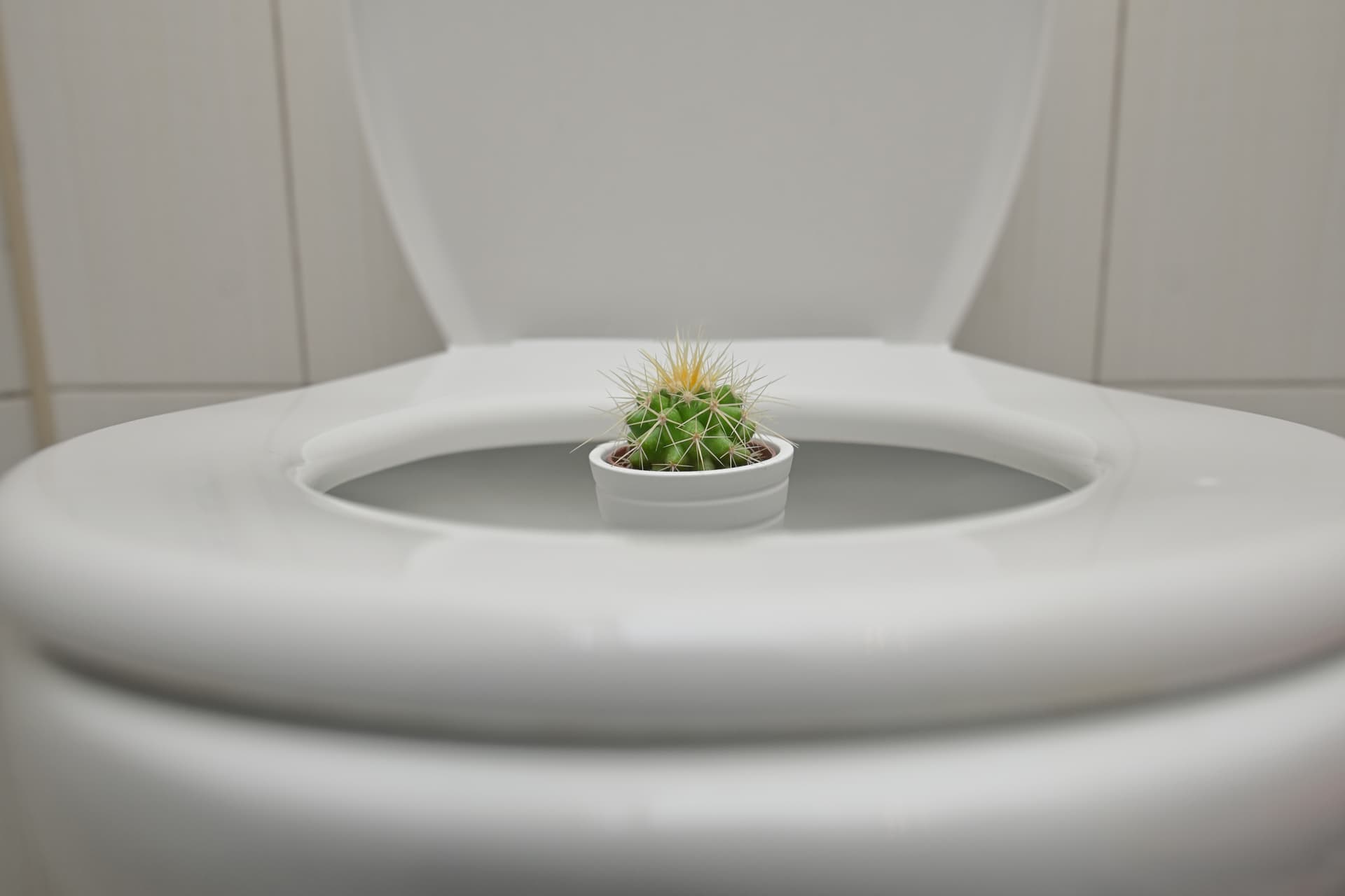Így védheted meg magad az aranyértől