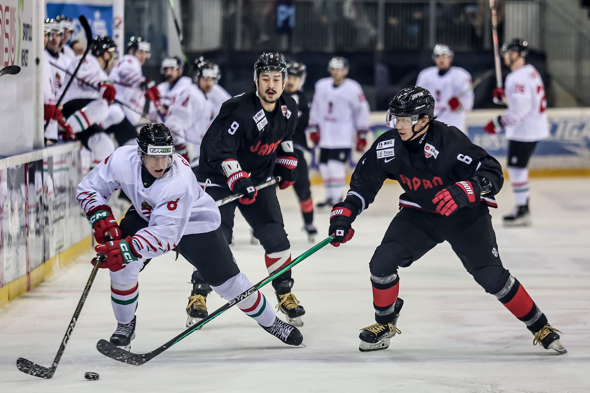 Férfi jégkorong olimpiai selejtező - Magyarország-Japán