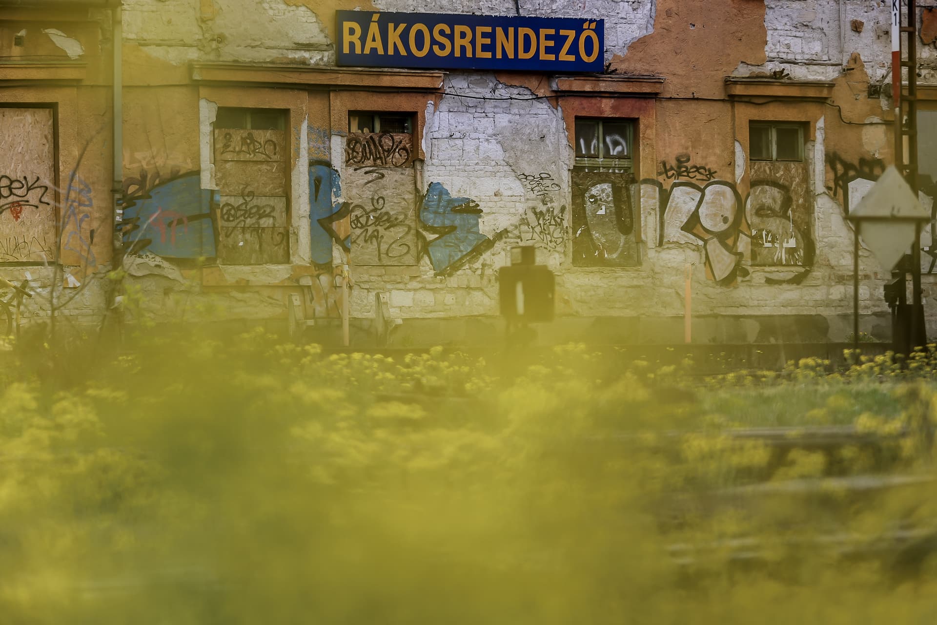 Rákosrendező