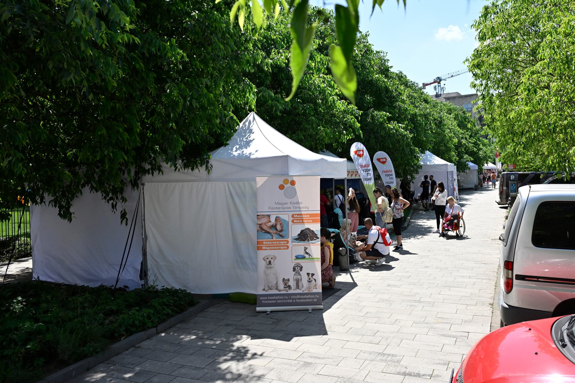 Belvárosi Kutyafesztivál az Olimpiai parkban