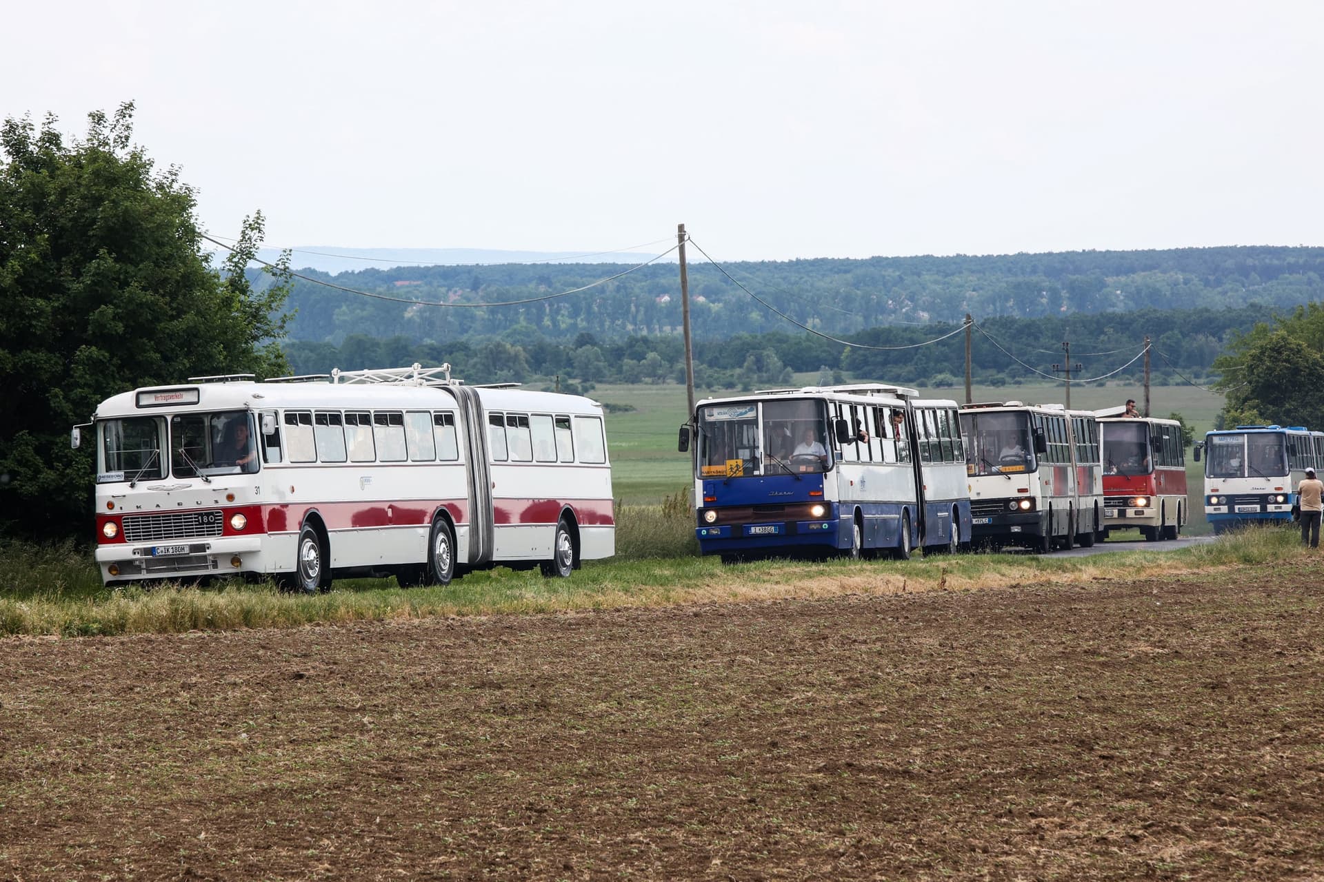 Nemzetközi Ikarus Találkozó