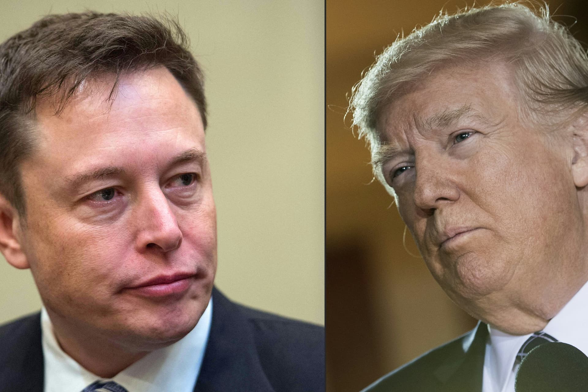 Trump őszintén elmondta, mit gondol Muskról