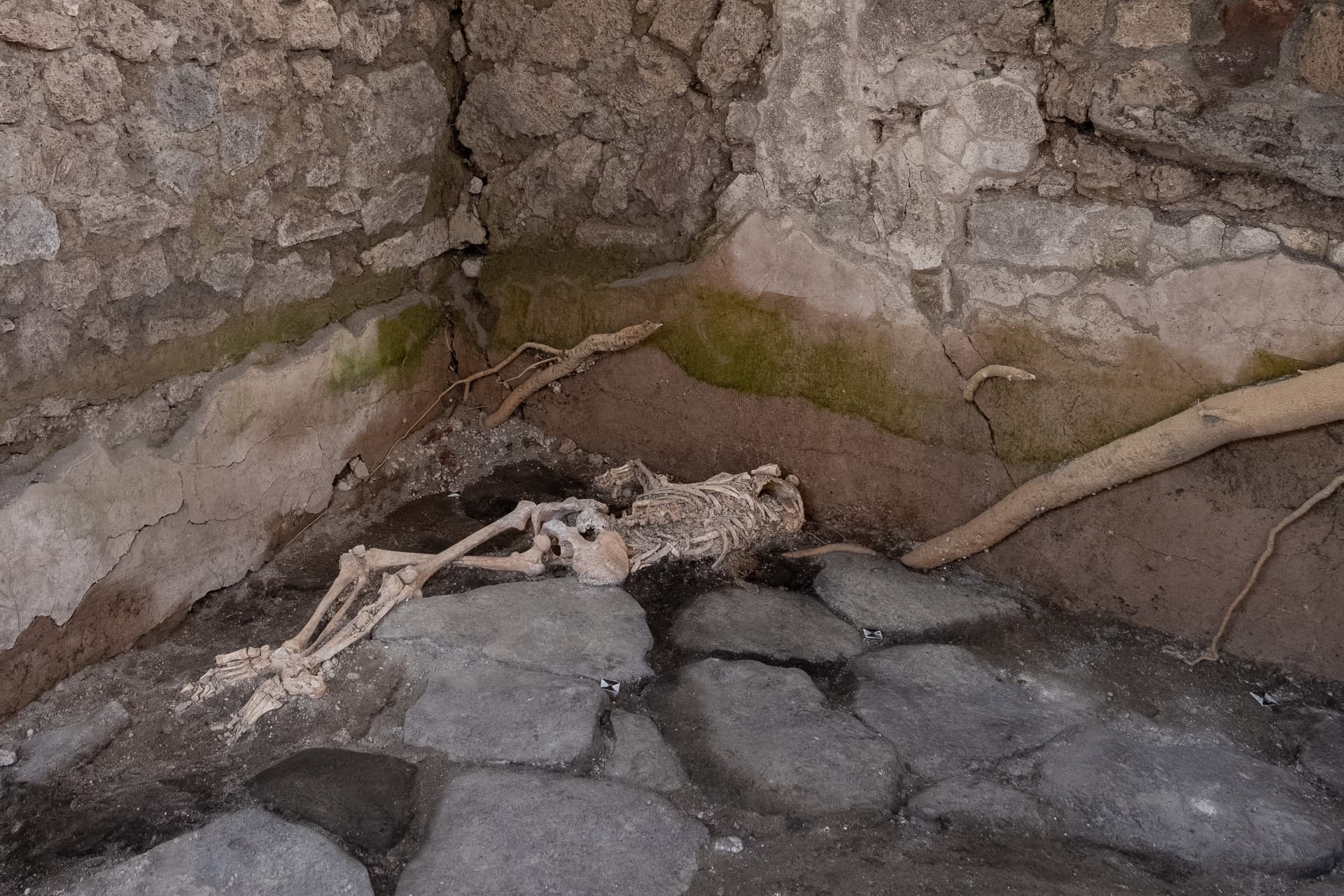 Mi történt valójában a „történelem legszerencsétlenebb emberével” Pompejiben?