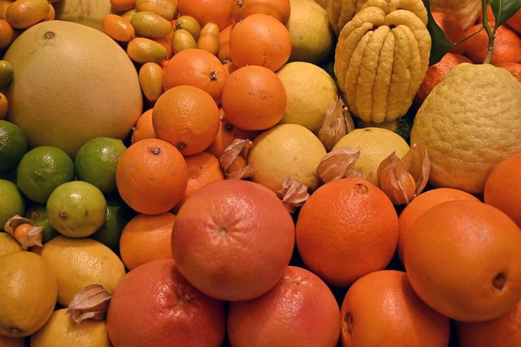 A C-vitamin az öregedés ellenszere? Így kapcsolja vissza a bőr fiatalságának génjeit!