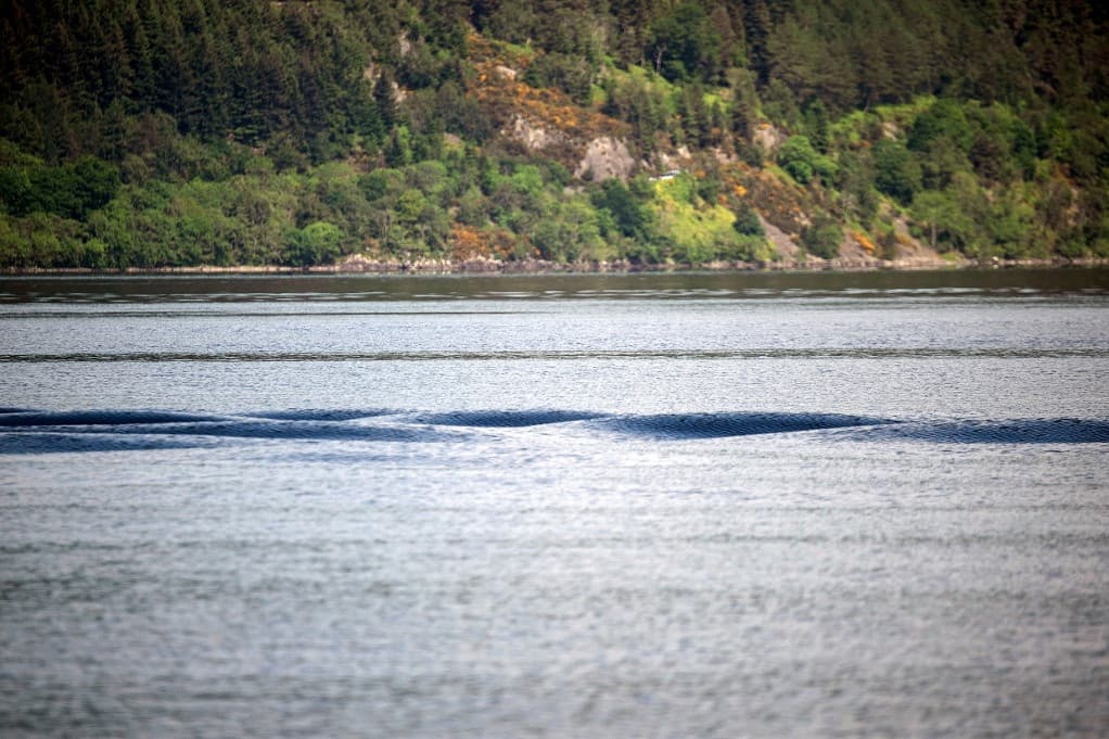A természettudós elárulta a Loch Ness-i szörny titkát
