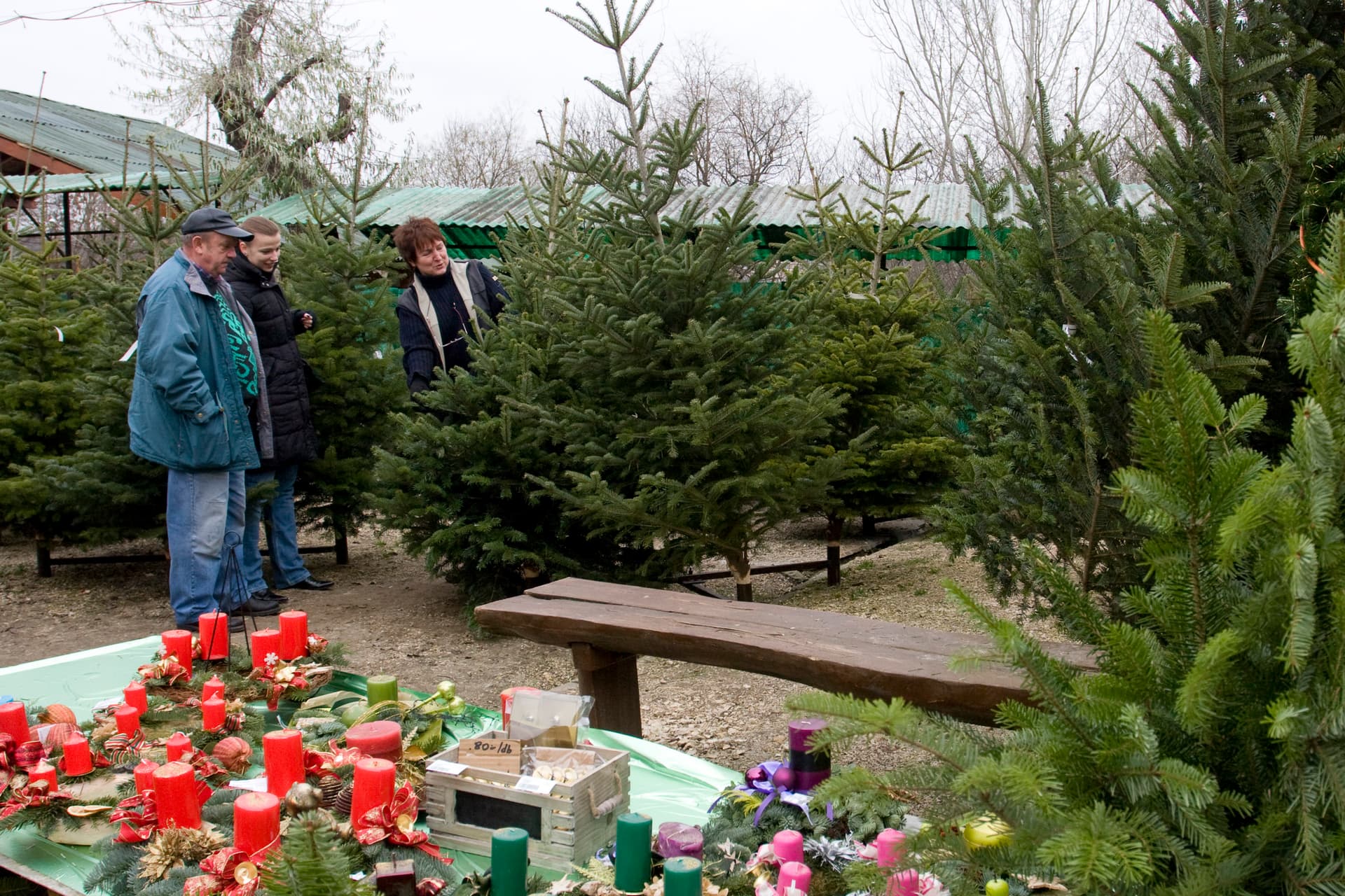 A fenyőfát vásárlók háromnegyede idén is hazai termelők termékeit díszítheti fel