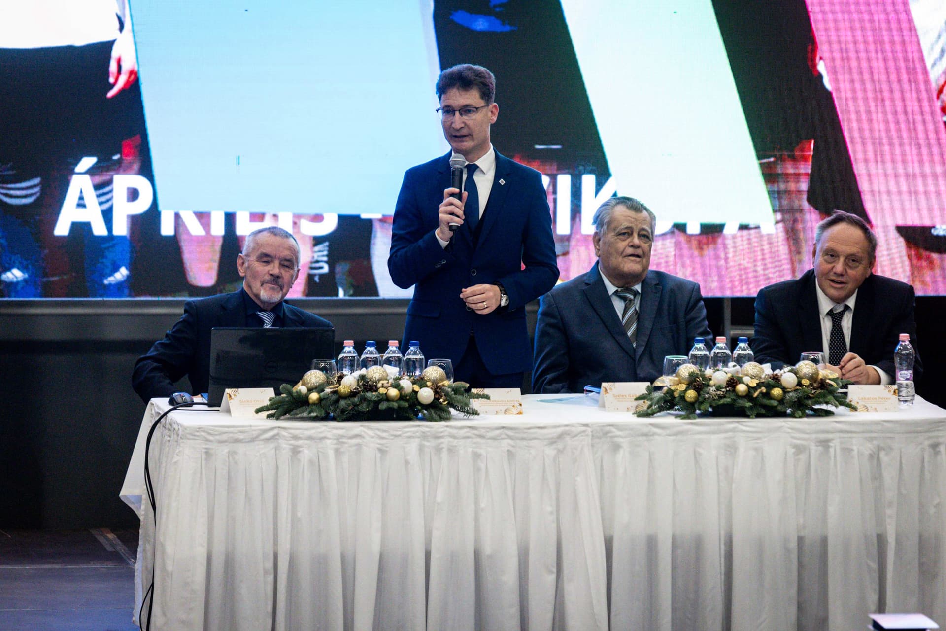Videoton karácsony, Széles Gábor