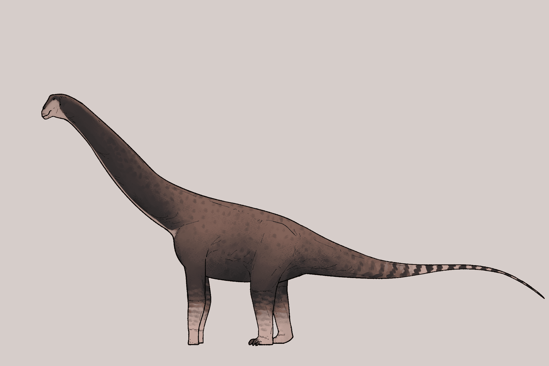 Új dinoszauruszfajokat azonosítottak a Hátszegi-medencében