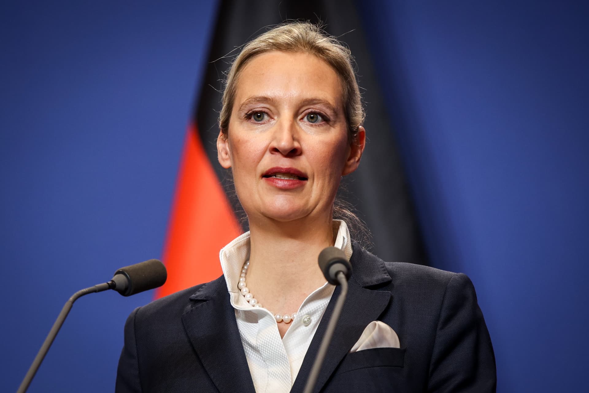 Alkotmányellenes pártnak minősítették az AfD-t