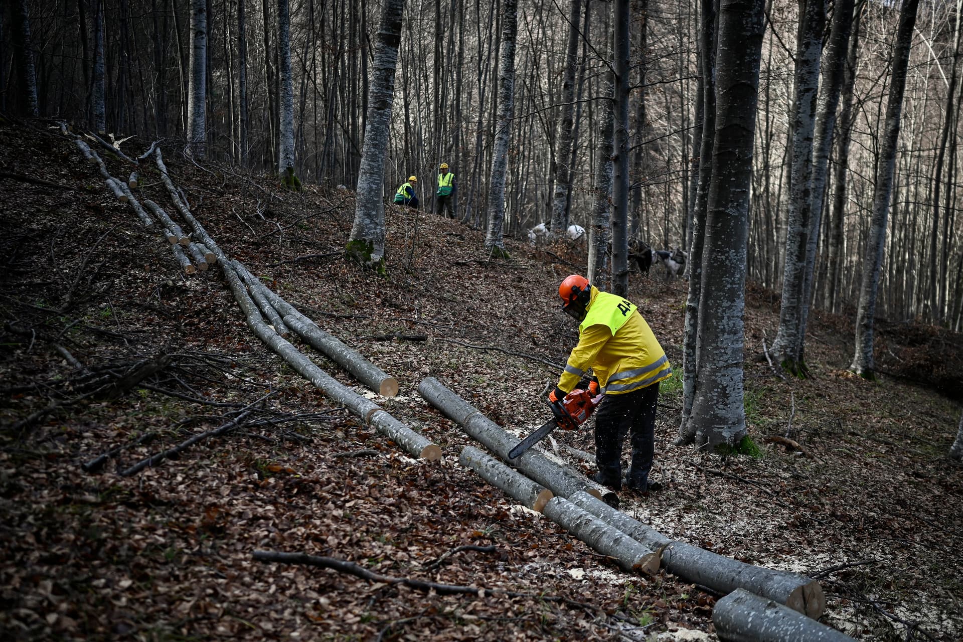 Ukrajnában tényleg bármire képesek